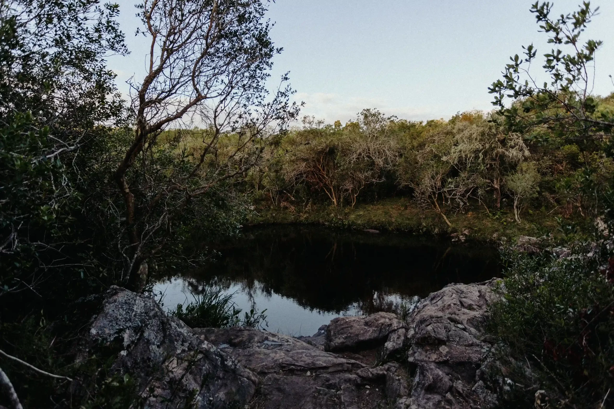 Paisaje natural sereno con un estanque rodeado de árboles y rocas, capturado por fotógrafos de boda en Uruguay, ideal para sesiones fotográficas al aire libre