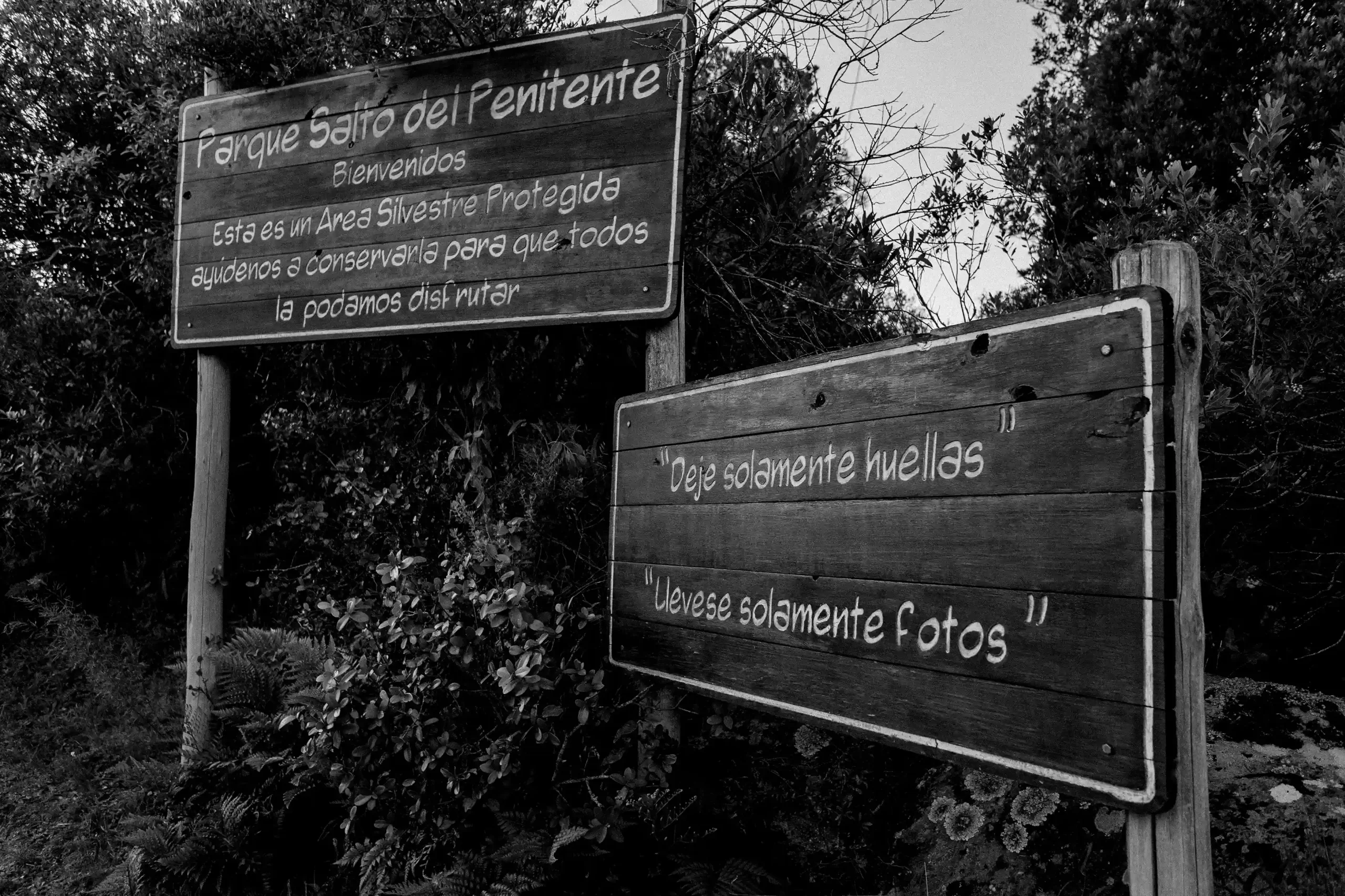 Carteles en blanco y negro en el Parque Salto del Penitente indicando normas de conservación ambiental y recomendaciones para los visitantes, rodeados de vegetación natural